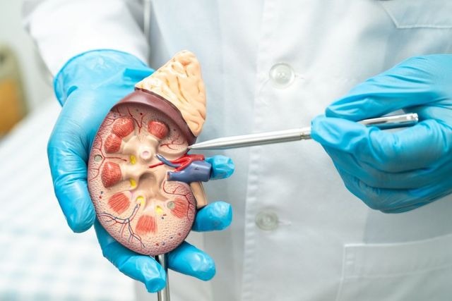 Best Nephrologist in Lahore